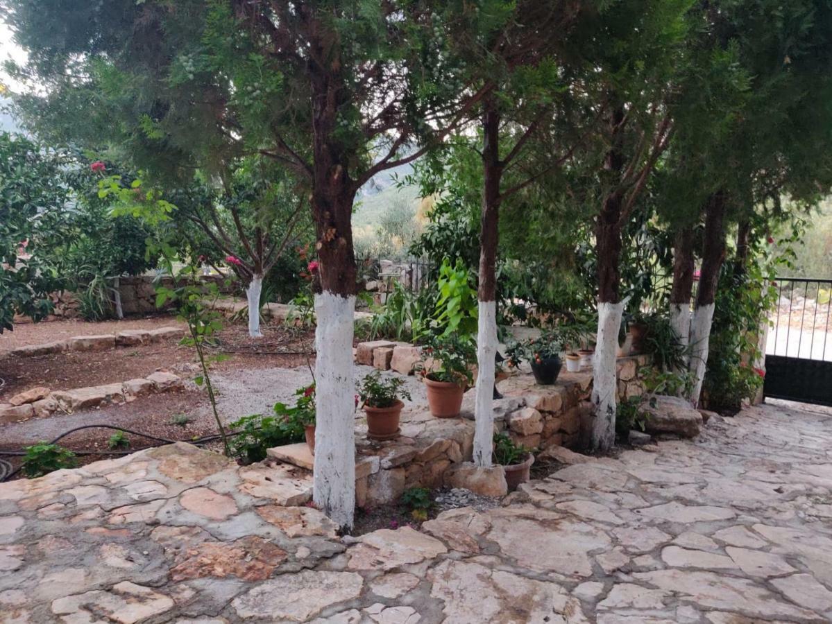 Olivia Homes Kaş Luaran gambar