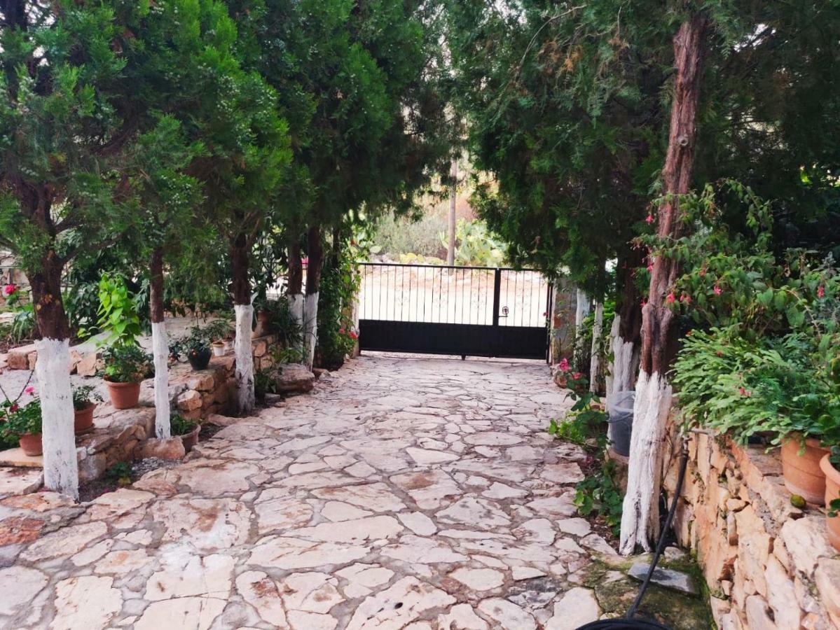 Olivia Homes Kaş Luaran gambar